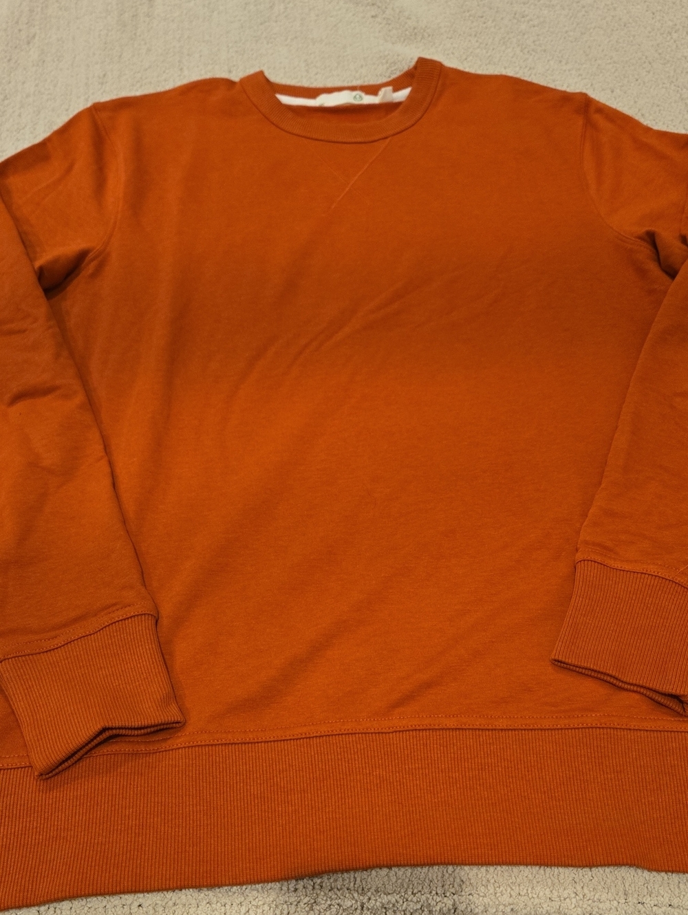 Men's Crewneck Sweatshirt in Rust Orange